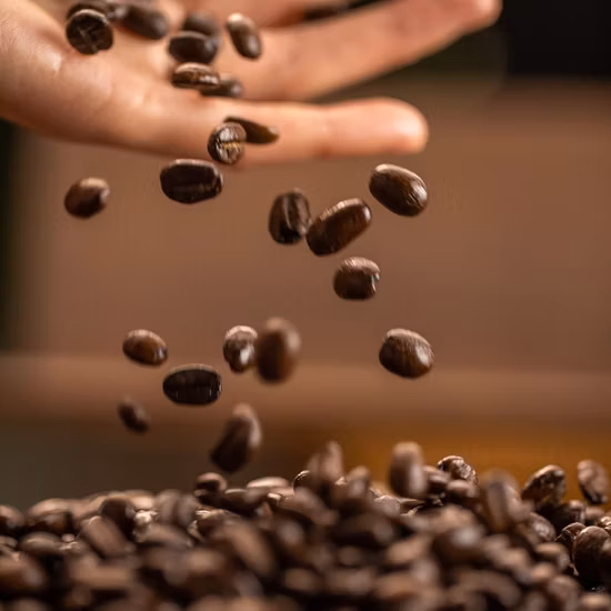 Fagioli bianchi, caffè nero, bevanda solida, controllo del peso, caffè dimagrante L-carnitina di fabbrica