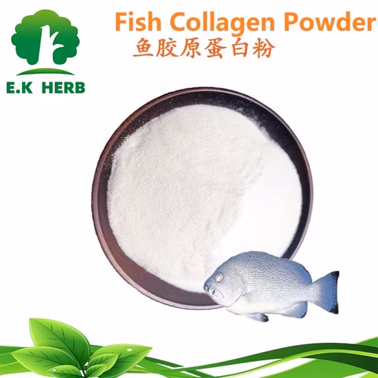 Taiwanmei China Marine Collagen Il produttore di peptidi di collagene puro non aromatizzato idrata e irradia la pelle di polvere di collagene di pelle di merluzzo e pesce
